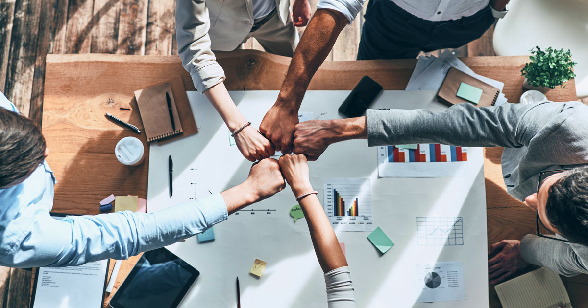 Partner program for the companies for changing russian software